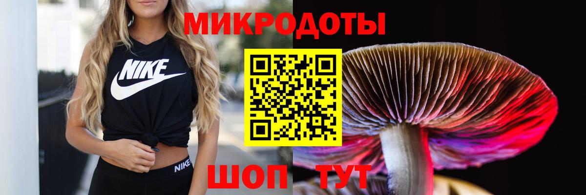 Ртищево  Галлюциногенные грибы Cubensis  Вход с VPN 